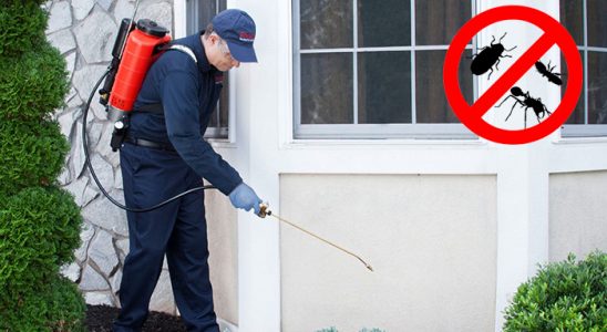 Mazıdağı Fare İlaçlama böcek ilaçlama ve haşere kontrolü — ilaclama-tr.com